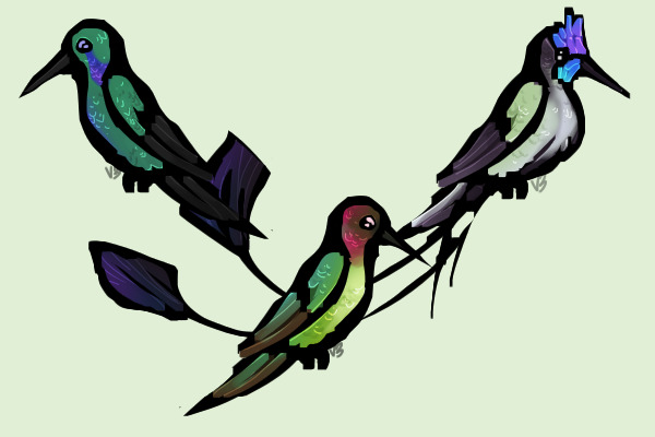 hummingbirds, anyone? ufa