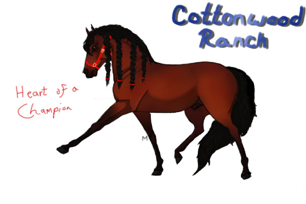 "Heart of A Champion" PRE Stallion (with braids & halter)