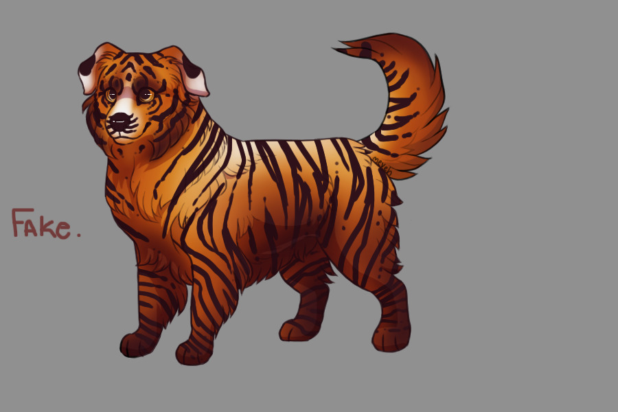 Entry 4-- Reverse Tiger