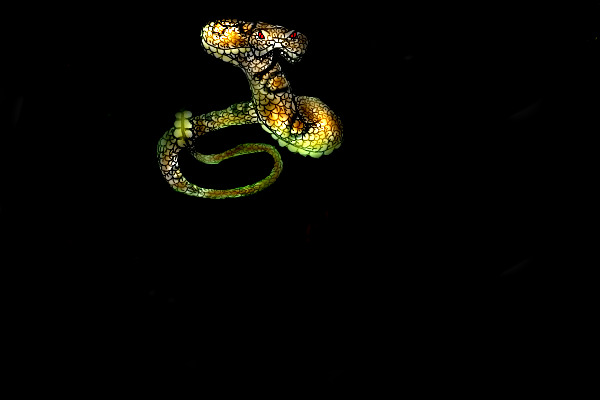 stain glass rattle snake