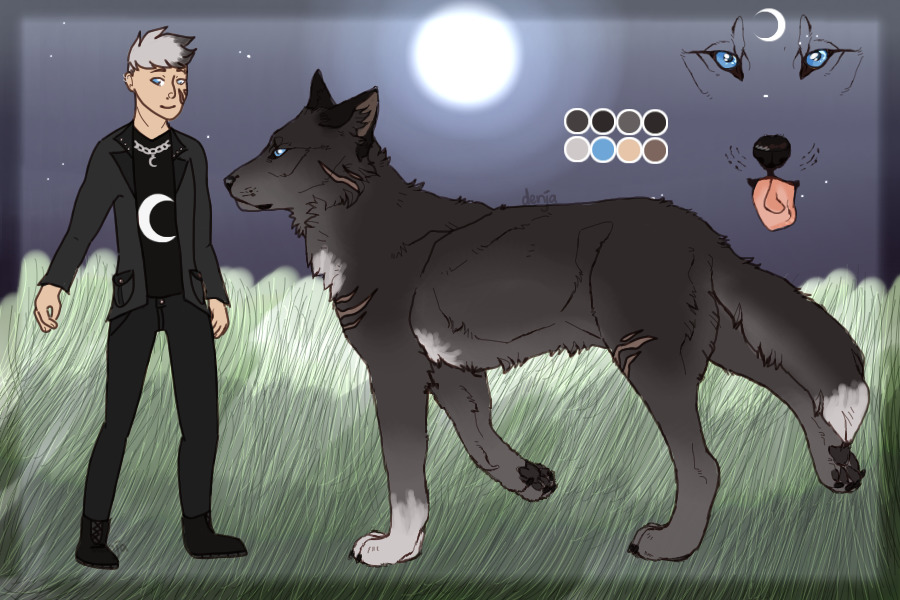 ✩ ☾ WOLVES OF THE NIGHT ☽ ✩ || #0003