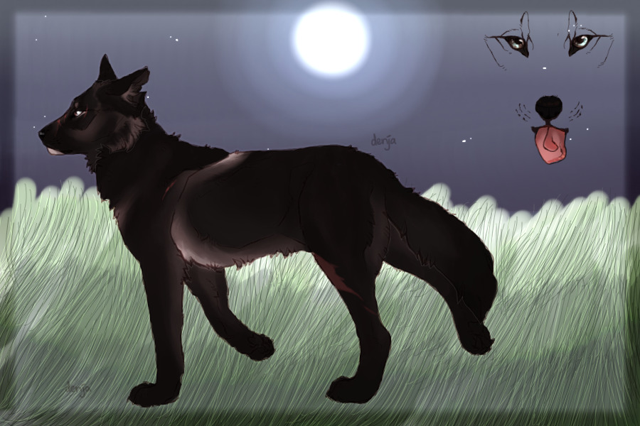 ✩ ☾ WOLVES OF THE NIGHT ☽ ✩ || #0008