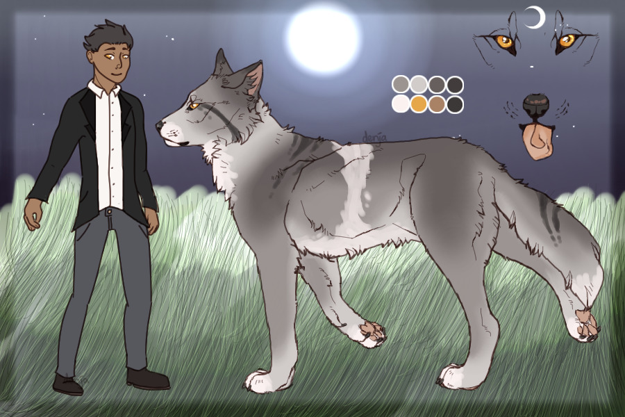 ✩ ☾ WOLVES OF THE NIGHT ☽ ✩ || #0009
