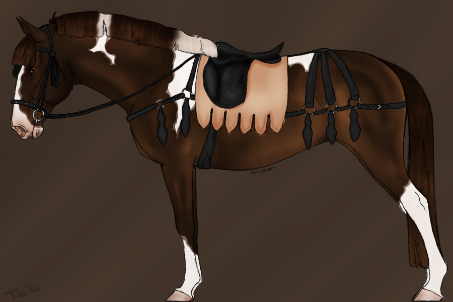 FOR SALE Medieval Warmbloods ~ Relaxed Adoptables
