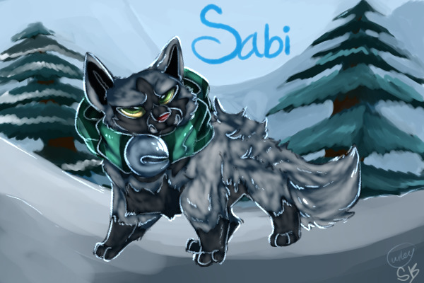 Partner: Sabi