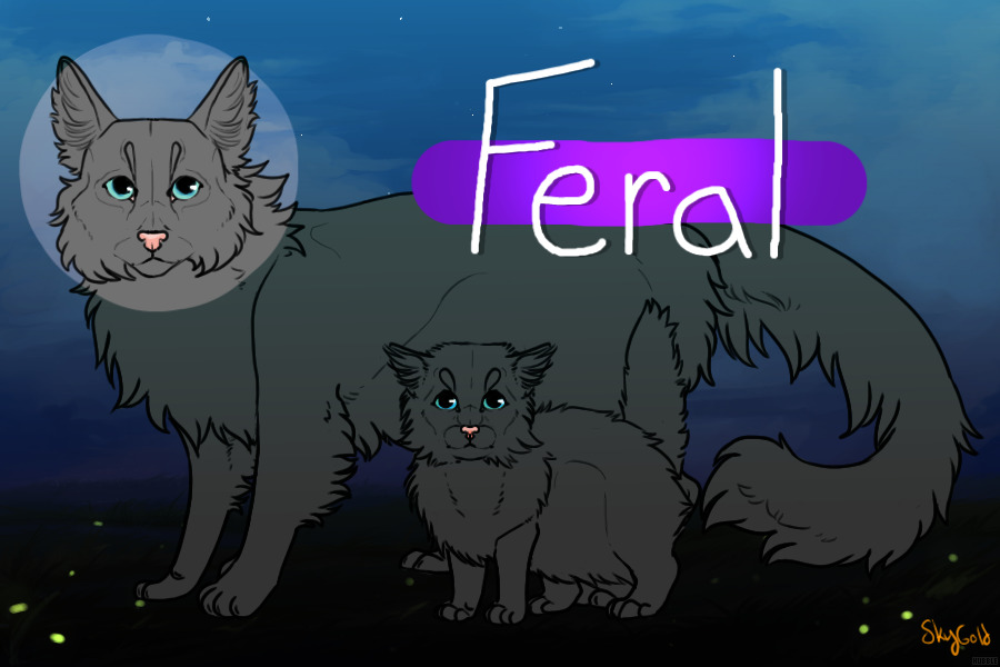 Feral | Warriors Adopts