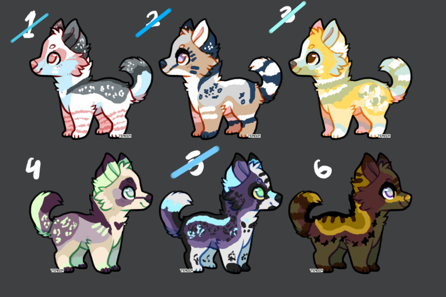 Adoptables for C$