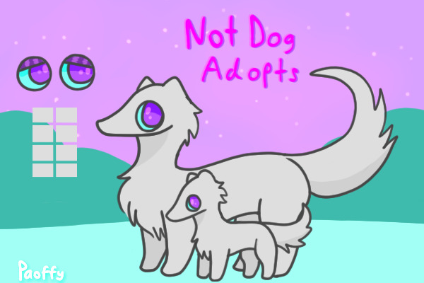 Notdog Adopts (we're back!)