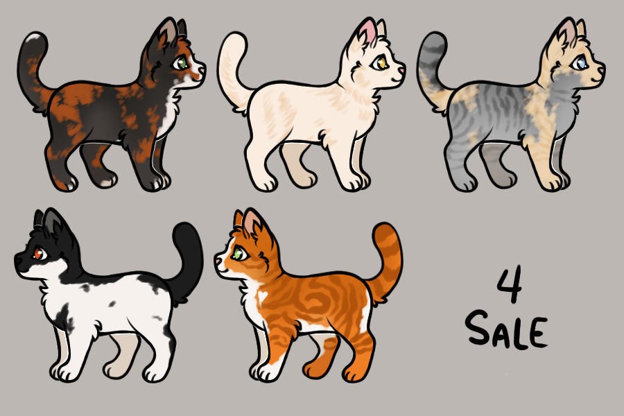 Some Cats 4 Sale