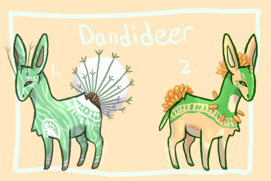 Dandideer Adopts