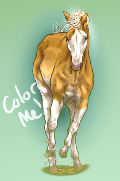 🐎 Gallopy -editable