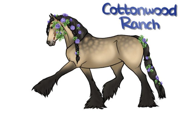 CWHR: !Horsecrazy! Custom
