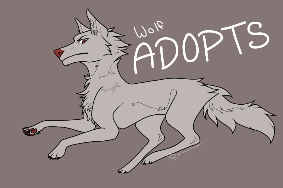 Wolf Adopts~!