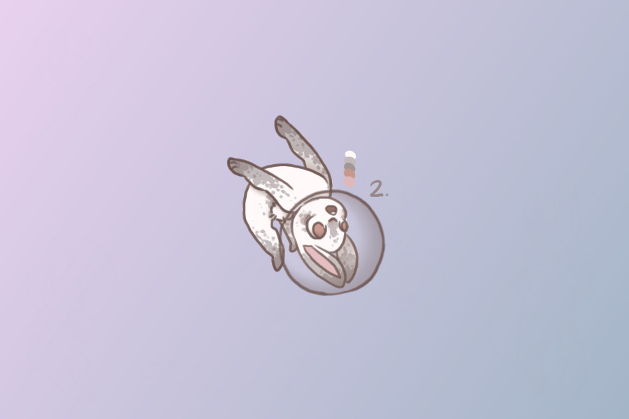 Cute little bunny ♥