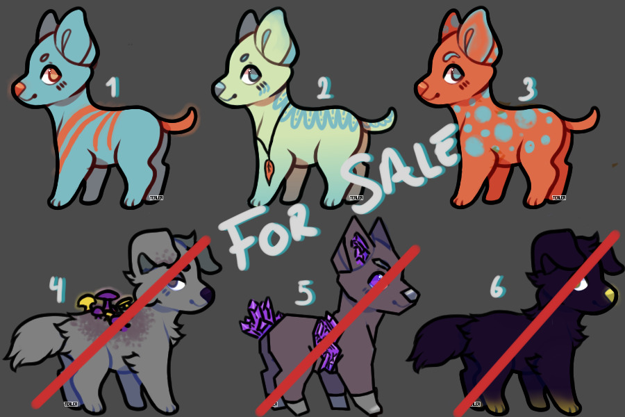 Adoptables//For sale!