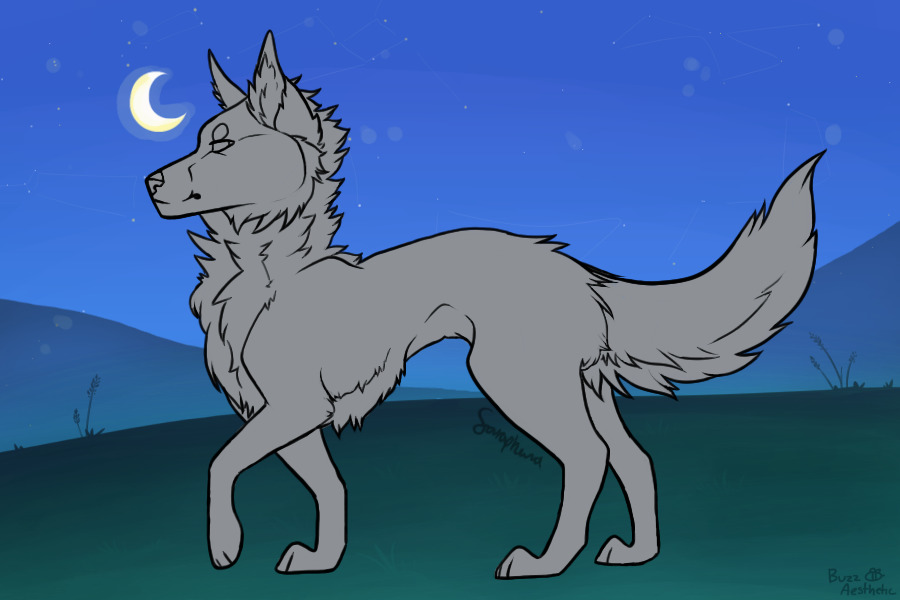 personal base + for friends & people i follow