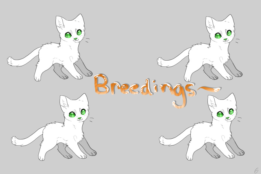 Cat Breedings!