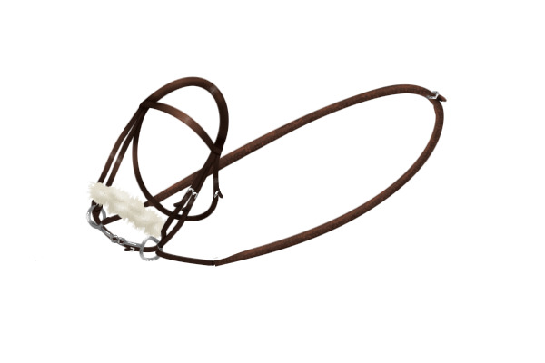 racehorse bridle