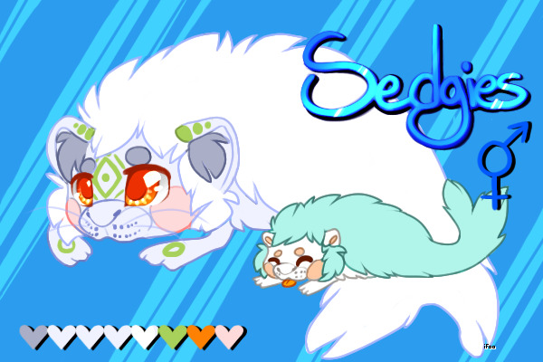 Fluffy Seal Hedgehogs - Pond Giftlines