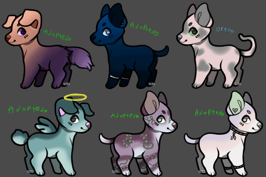 Puppy Adopts 2 || 1/6 Open