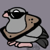 Swagger Pigeon