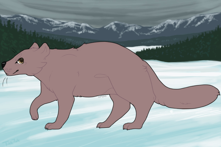 Raccoon || Pond Giftlines || Lines by aspynn