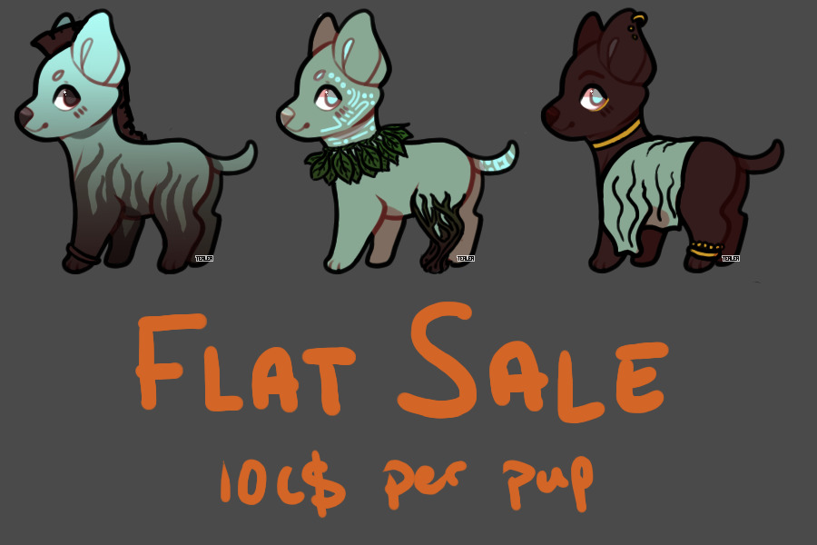 puppers for sale!