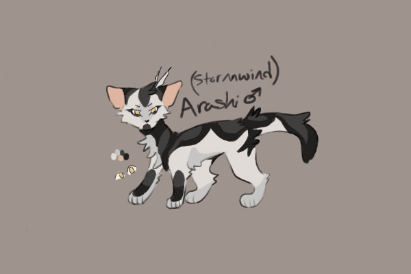 arashi ref