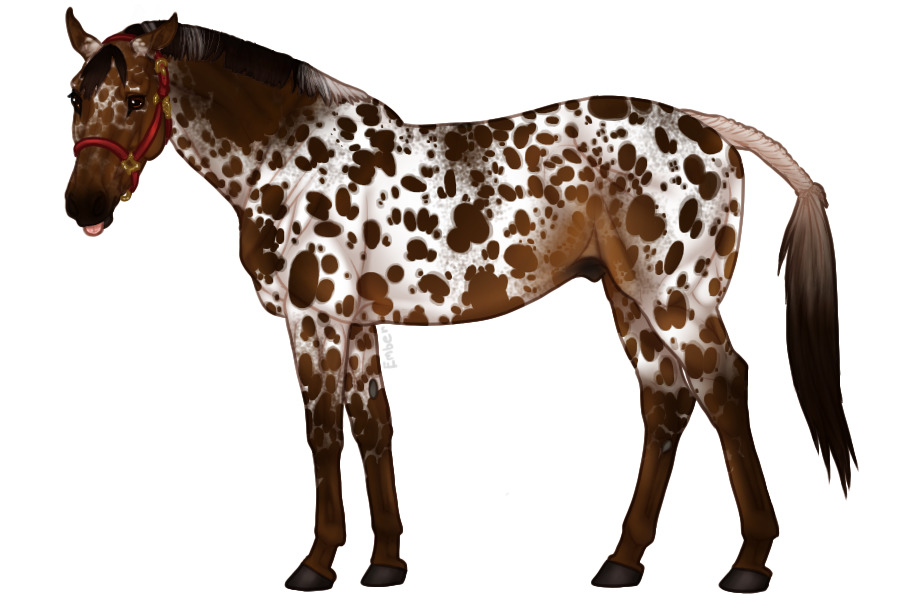 Euphorian Thoroughbred #626
