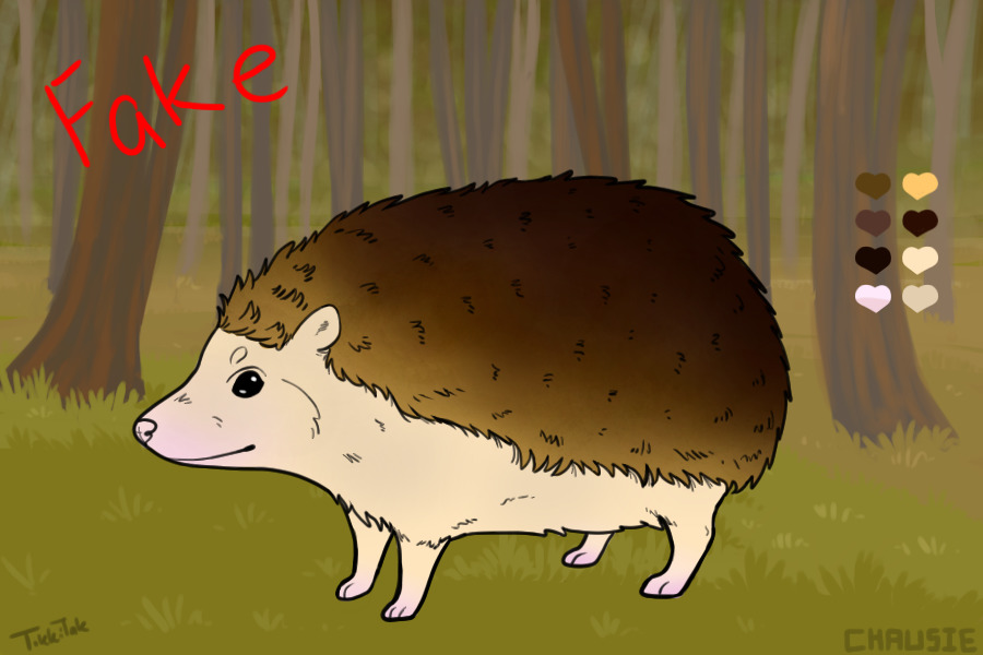 Hedgie entry 1