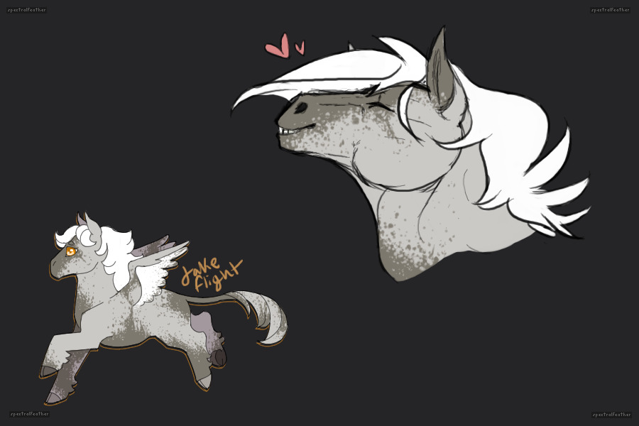 i passed flight class