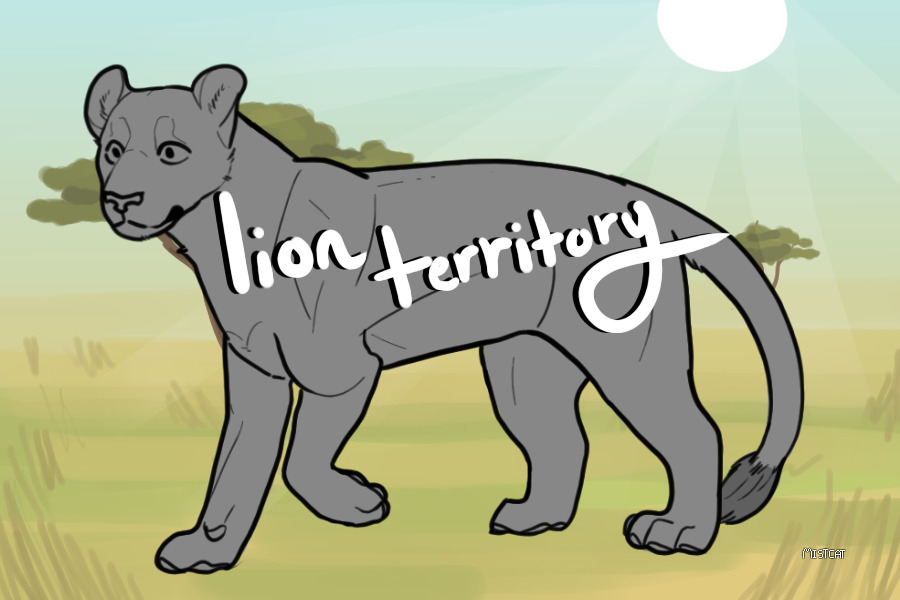 lion territory