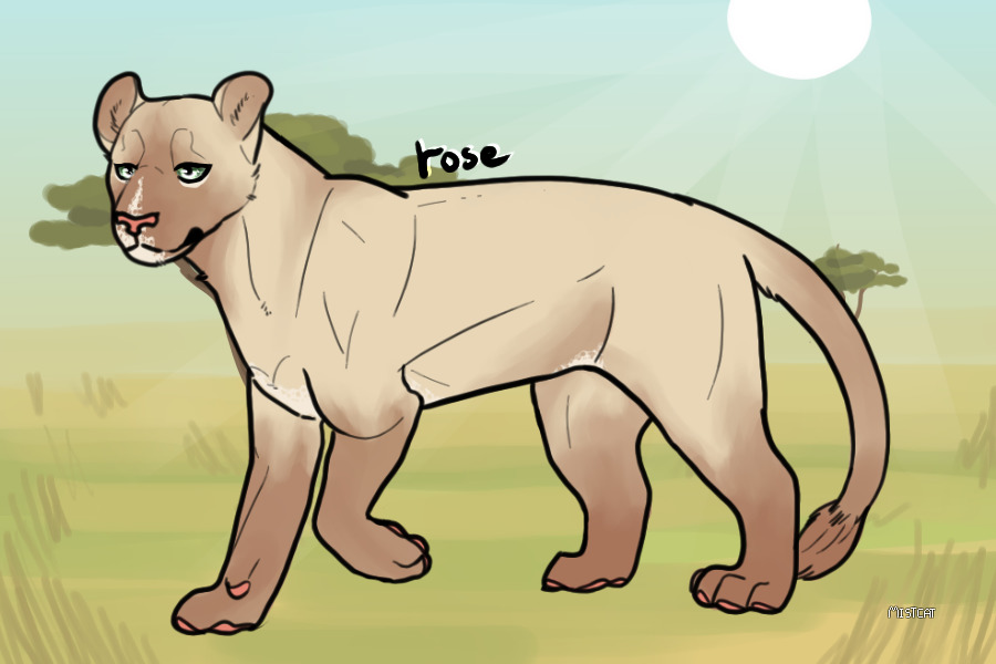 daichi's mate | rose