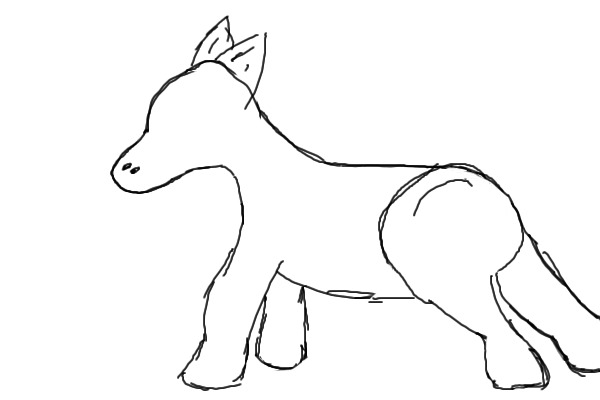 Horse/Pony Anatomy