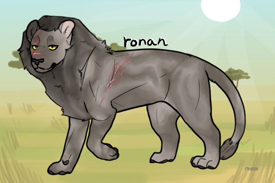 second in command | ronan