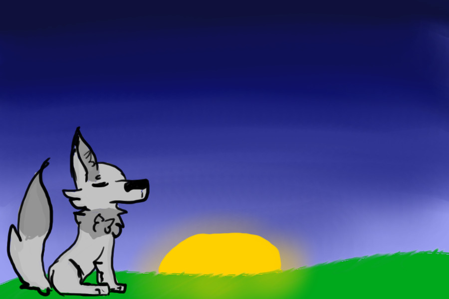 Little Wolf