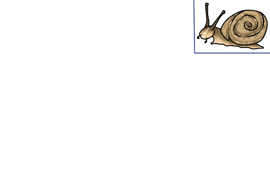 littol snail