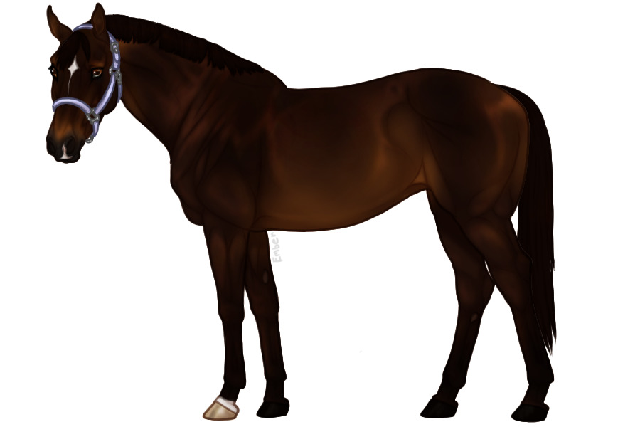 Euphorian Thoroughbred #604