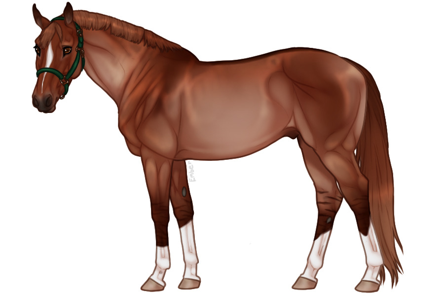 Euphorian Thoroughbred #614