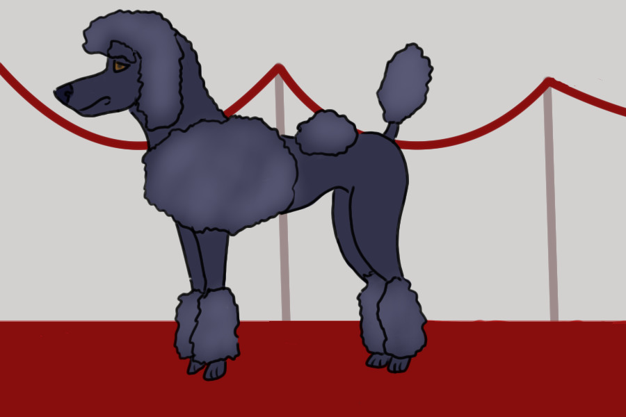 Poodle Lineart