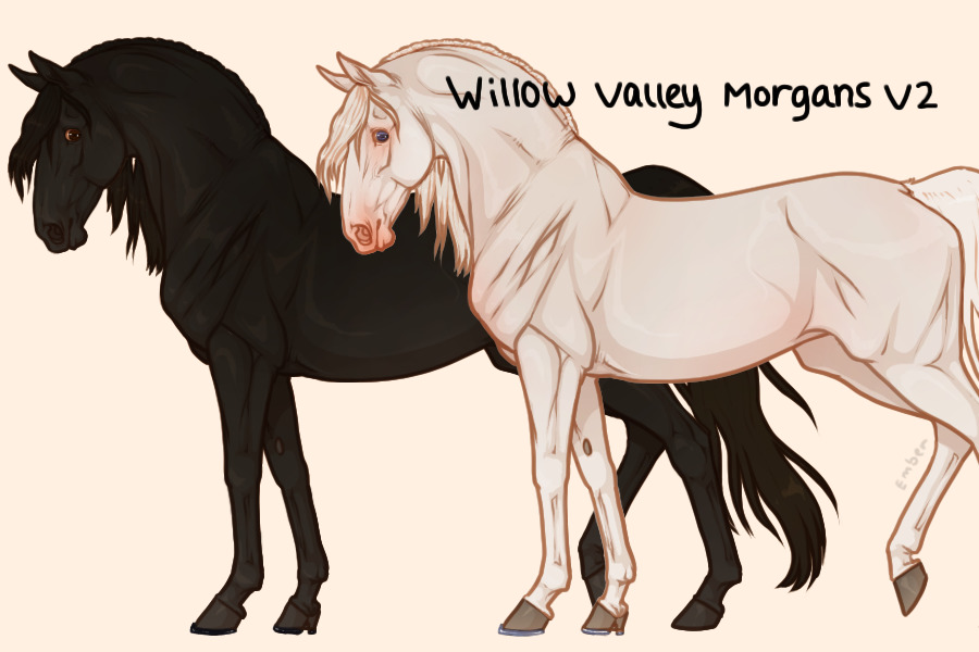 Willow Valley Morgans V2 ;; Open & Mod Applications!