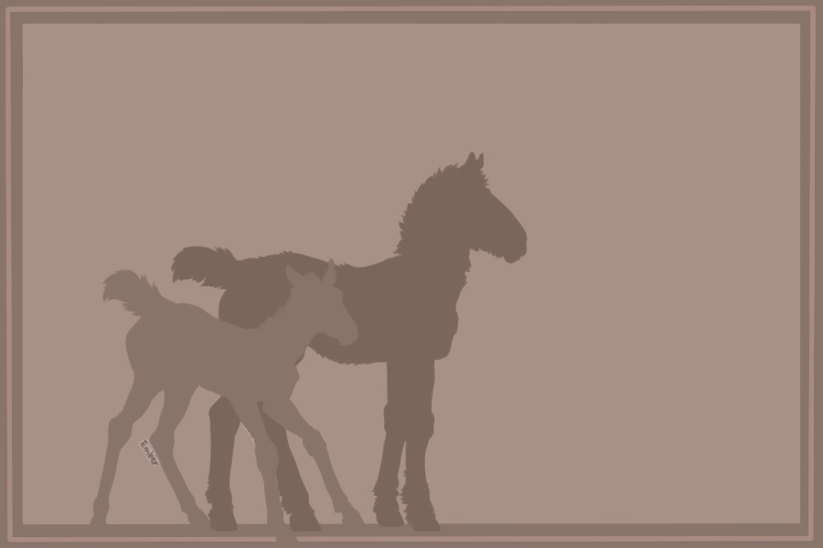 Horses Of Haddon | Adoptables |