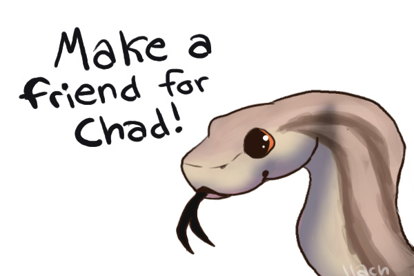 Make a friend for Chad!