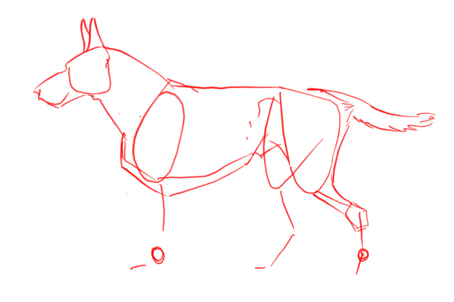 Canine Art Tips, Please !!