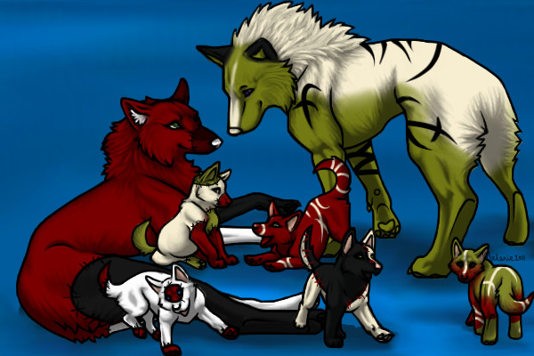 my 4th wolf familly