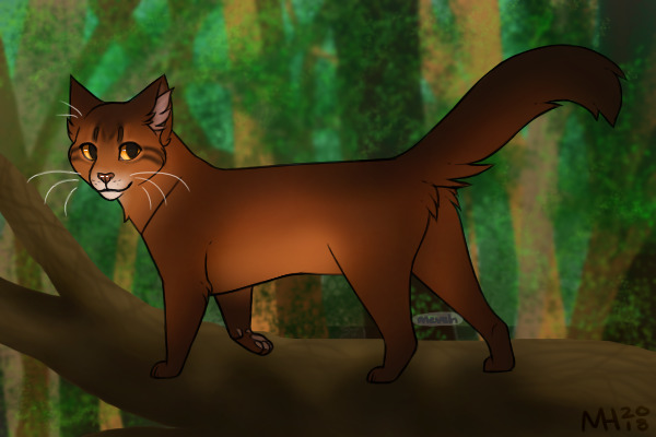 Maplestar- Clan Leader