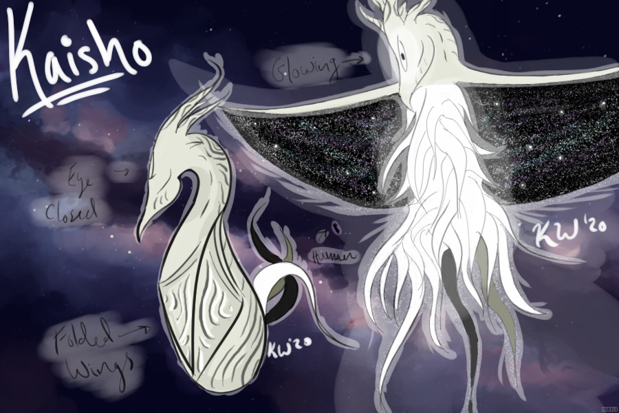 Kaisho Entry♥