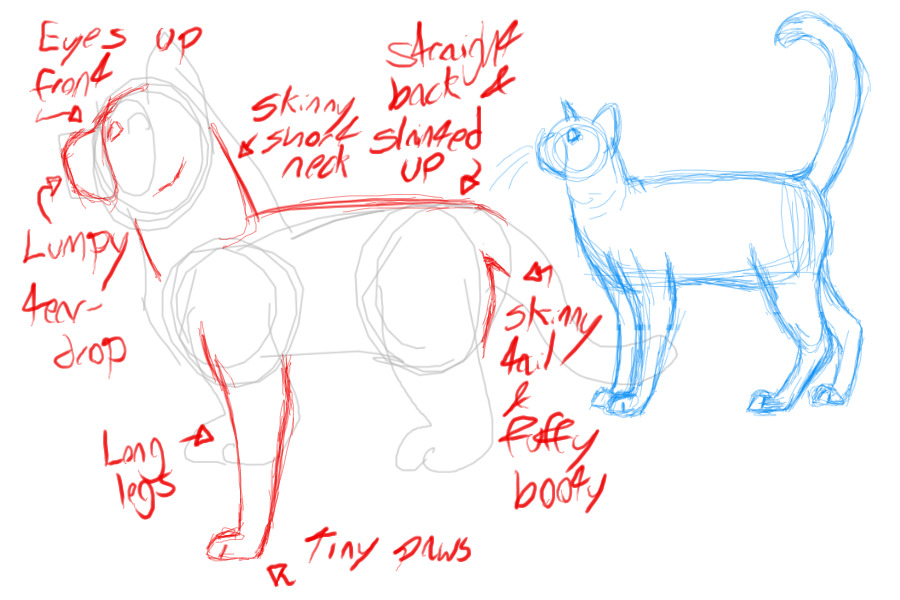 How to Draw a Cat (Again)