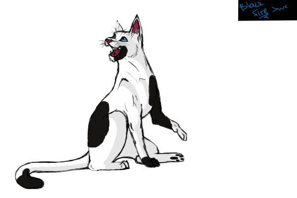 Eager Spotted Cat
