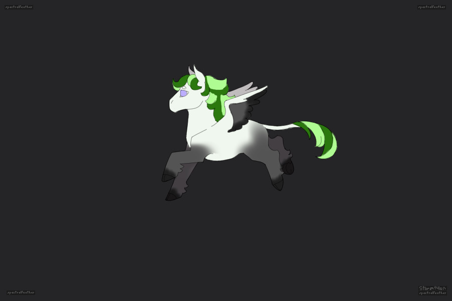 Pride Adopts: Aro Pegasus